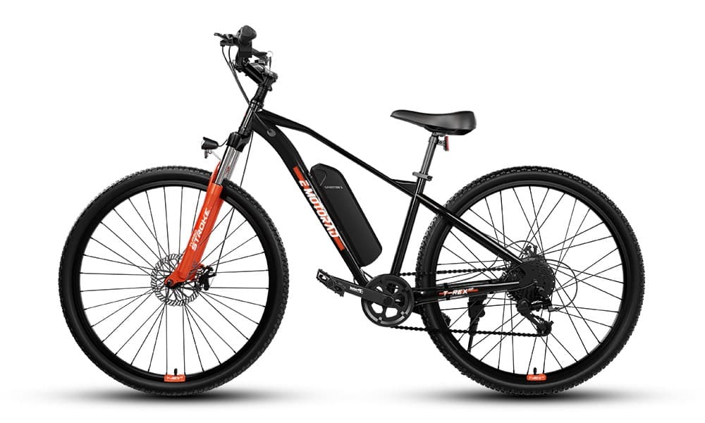EMotorad electric cycle
